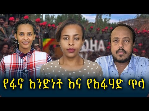 የሃሳብ ገጽ  | የፋኖ አንድነት እና የአፋሃድ ጥላ @roha_tv