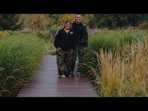 Burdock has gone crazy. Or, more about garden fashion and trends.