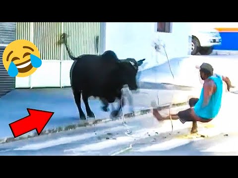 TikTok Try Not To Laugh Challenge (Part 03) 😅😂