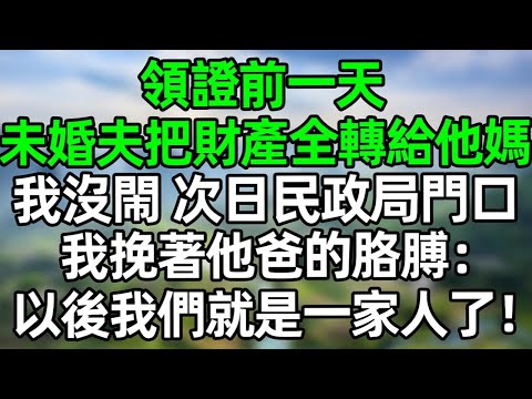 領證前一天，未婚夫把財產全轉給他媽，我沒閙 次日民政局門口，我挽著他爸的胳膊：“以後我們就是一家人了！”#深夜淺讀 #夜讀人生 #大橘講故事  #情感故事  #講故事  #幸福生活 #深夜故事