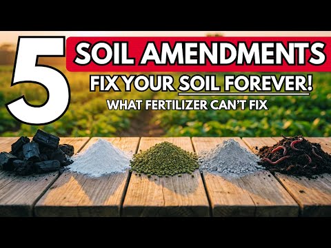 5 HIDDEN Minerals in Your Lawn That TRIPLE Harvests (Gardeners Ignore Them)