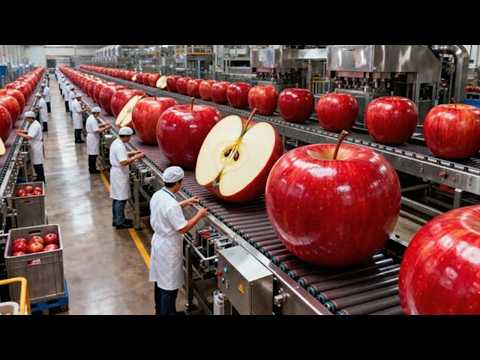 Inside a Apple Pie Factory β An incredible automated production process