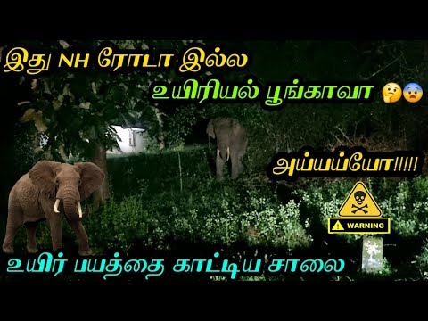 எச்சரிக்கை!!☠️|உயிர் மேல் ஆசை இருந்தால் இந்த வழியே போகாதீங்க|tholpetty forest|midnight drive