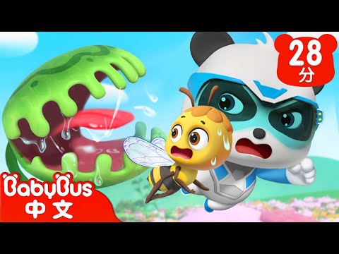 甜蜜危機 | 蜜蜂是怎麼工作的 | 奇妙救援隊 S2EP07 | 奇妙動物認一認 | 科普啟蒙 | 貓熊動畫 | 卡通片 | BabyBus | 寶寶巴士