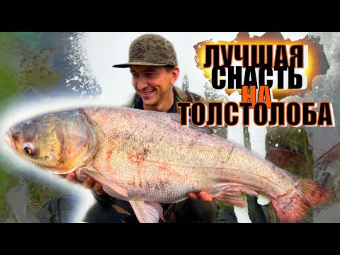 Еле подняли этого монстра. Рыбалка на толстолобика. Как связать снасть на толстолобика