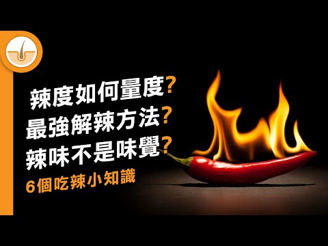 辣度如何量度? 最強解辣方法? 6 個吃辣冷知識 (繁中字幕)