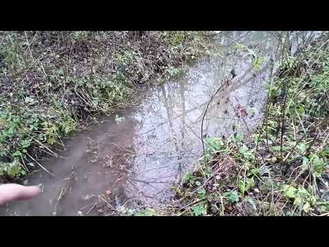 Школа выживания. Охота на бобра петлями и петельными ловушками.