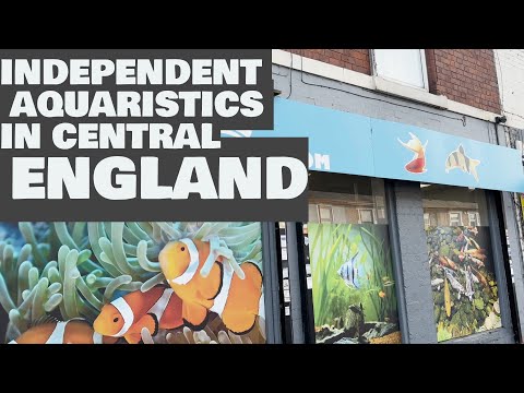 UK Local Aquarium Store in My Town