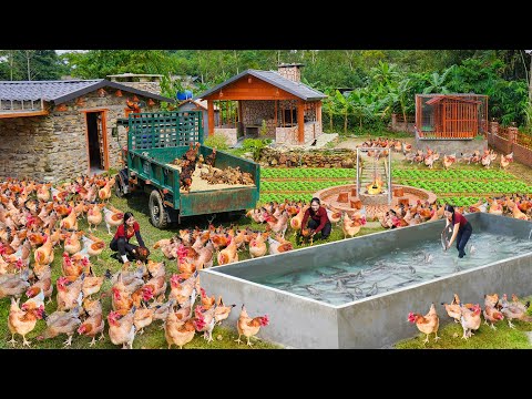 Full Video _Building Float Tank, Quail Cage, Chicken Coop On Fish Tank. Journey to Green Living