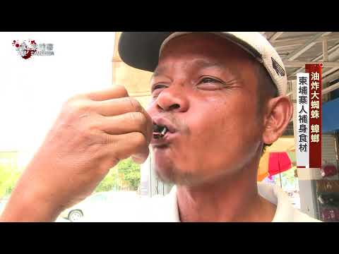 直擊柬埔寨_獨家深入東南亞最窮國！解密吳哥王朝古都為何變成詐騙王國？金鐘主持人冒險挺進緬甸最大反抗軍大本營，直擊泰緬邊境人肉掃雷機！｜舒夢蘭