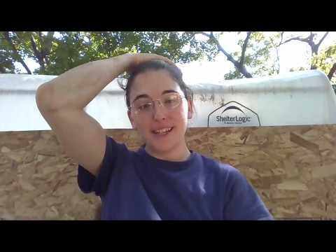 Removing Nails from 1890s Hardwood Flooring / OBS livestream experiment 3/3