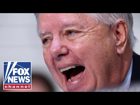 Graham goes SCORCHED EARTH in fiery hearing: 'Give me a break!'