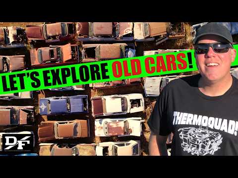 Inside an UNKNOWN VINTAGE-CAR STASH!