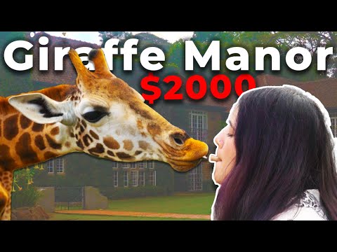 Was this $2000 night at the Giraffe Manor Worth It?