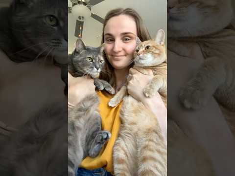 Love my babies 🐈🐈‍⬛