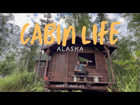 Alaska Off-Grid Cabin Life: Sauna Build + Wild Blueberry Harvest