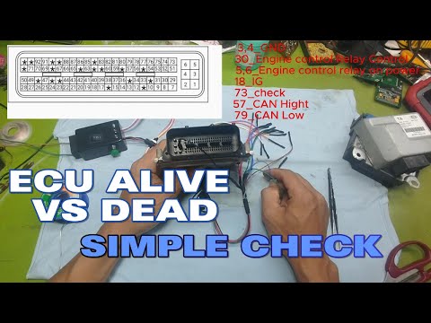 How to Tell If an Engine ECU Is Alive or Dead – Easy Guide for Beginners #ecurepair #learningecu