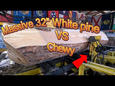 Sawing a massive 32" white pine log # 756