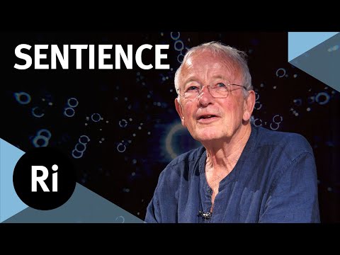 How did consciousness evolve? - with Nicholas Humphrey