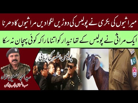 Investigation Story of Rednecks of Punjab