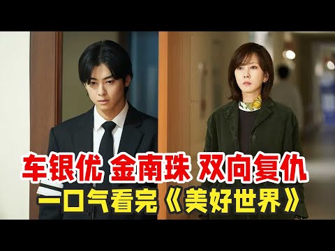 最新韩剧《美好世界》一口气看完，车银优、金南珠展开双向复仇，剧情精彩反转