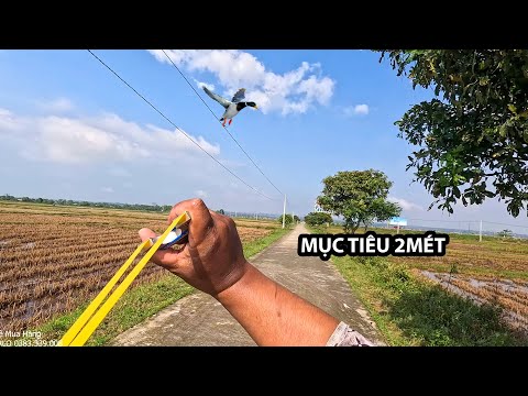 Slingshot Hunting Episode 163 | Shoot the flying trigger with a slingshot