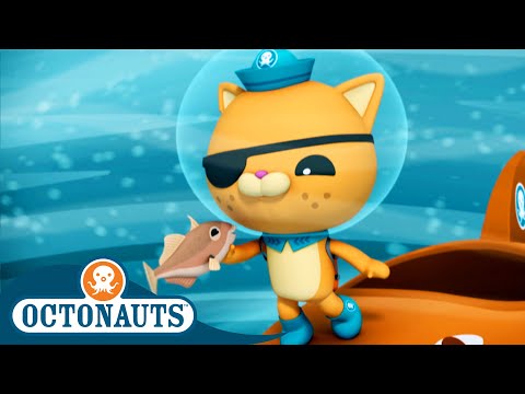@Octonauts - 🐟 Trigger Fish Happy 🤗 | Season 2 | Best Bits!