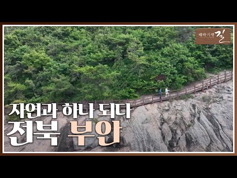 [테마기행 길] 부안, 자연과 하나 되다 | 여행 스케치 | 전주MBC 240719 방송