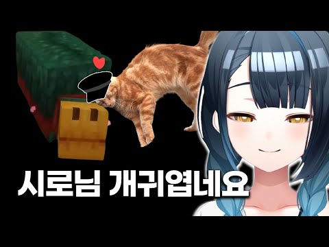 귀여운 걸 본 귀여운 것