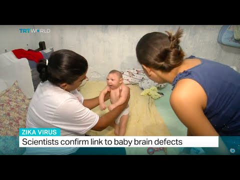 Scientists confirm link to baby brain defects, Andrew Hopkins reports