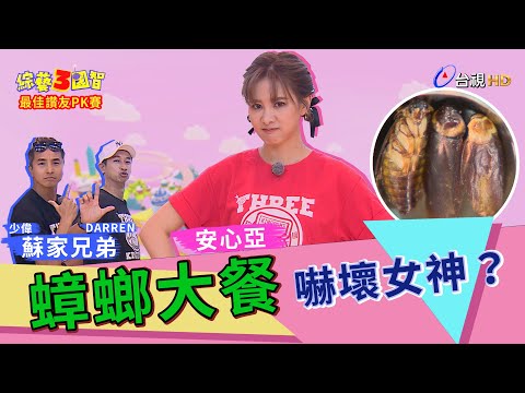 「女神」安心亞被蟑螂大餐嚇到摔倒!「蘇家兄弟」聯手卻輸到悽慘落魄?綜藝3國智【最佳讚友PK賽 安心亞、DARREN 第198集】20210116