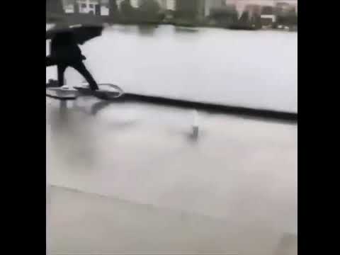 Vines that never get old part 3