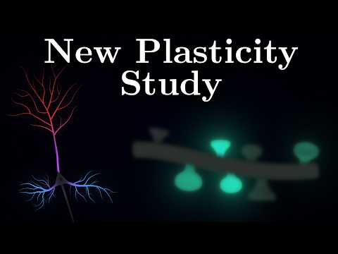 Why Different Neuron Parts Learn Differently?