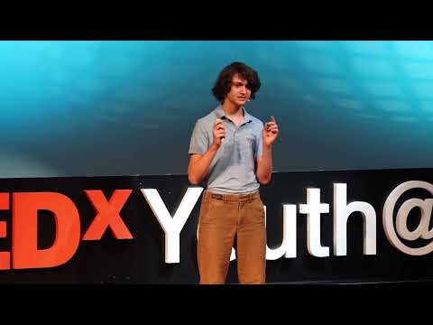 Origami blurs the boundary between math and art  | William Patmore | TEDxYouth@ISPrague