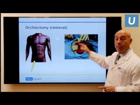 Testicular Cancer: What You Really Need to Know | Mark Litwin, MD, MPH | UCLAMDChat