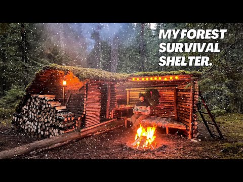 Bushcraft camping in the wild. Building a shelter for survival in a cold forest. Nature Sounds, ASMR