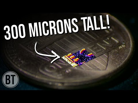 DIY Scanning Laser Microscope