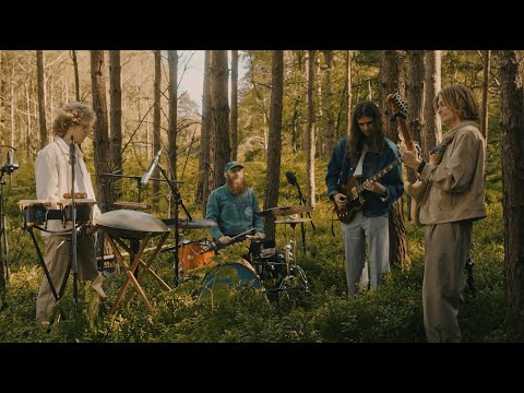 Yuuf - In The Sun - Live in Surrey Hills