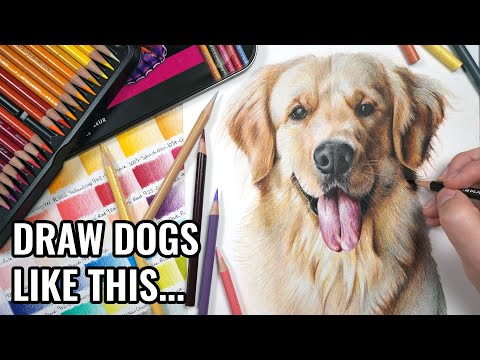 How to Draw a Realistic Dog Portrait | Colored Pencil Tutorial