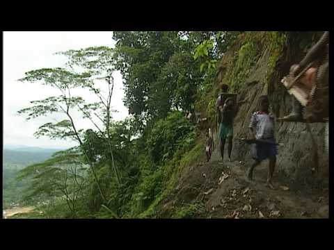 Panama : Business dans la jungle | Les routes de l'impossible