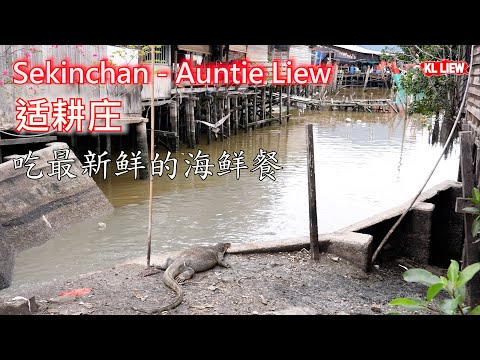 Sekinchan - Auntie Liew 适耕庄吃最新鲜的海鲜餐，uncle 的表弟带来新鲜的鱼虾螃蟹给海鲜小餐馆煮 。