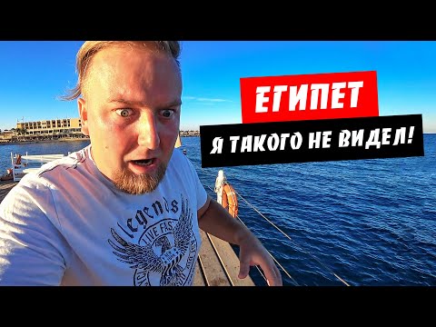 Египет. Погода сейчас. Я такого не видел! Риф в отеле Albatros Palace Хургада. Интернет в Египте