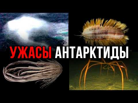 Iceberg of Antarctica's Horrors