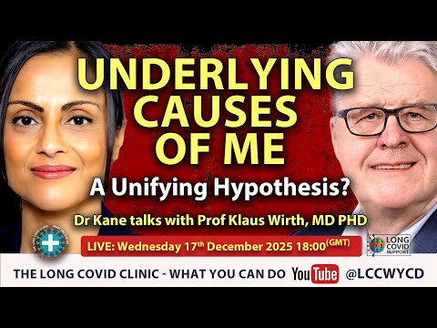 Underlying causes of #ME - a unifying hypothesis? #Myalgic #Encephalomyelitis