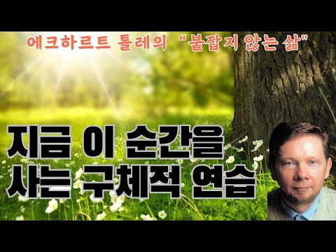 붙잡지 않는 삶(에크하르트 톨레)(1)- 시간과 마음은 연결되어 있기에 시간을 만들지 않는 법은, 지금 이 순간이 내가 가진 전부라는 사실을 마음 깊이 깨닫는 것입니다.