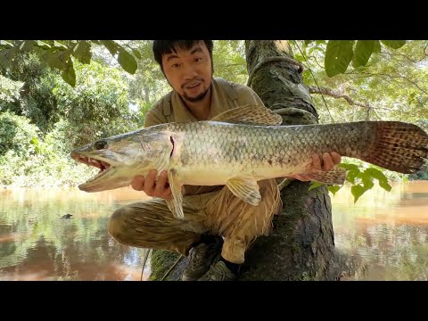 亞馬遜雨林生存挑戰完整版！餓了一天一夜只能靠野果飽腹，抓亞馬遜頂級掠食者狼魚吃【探索兄弟】