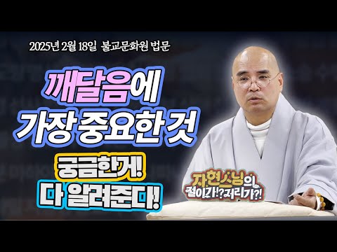 깨달음과 스승 중 뭐가 더 중요할까? - 이래도 될까? 이건 뭘까? 자현스님의 통쾌한 해답!
