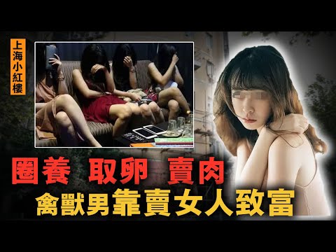 高薪招聘誘騙美女入魔窟，先用她們的肉體賄賂官員，再取卵賺錢！2020年上海小紅樓事件｜案件調查中 中國案件 案件解說  案件還原  案件調查