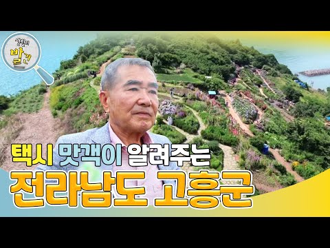 화려하면서도 담백한 매력이 있는 전라남도 고흥군! [생활의 발견] | KBS 240812 방송