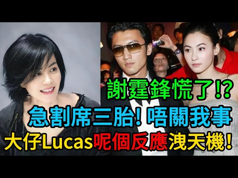 【粵語】踢爆真相！！謝霆鋒慌了？急割席三胎「唔關我事」！大仔Lucas一個「驚人反應」洩天機！張柏芝守護N年秘密終於曝光？ #張柏芝 #Lucas #謝霆鋒 #王菲 #謝振軒 #謝賢